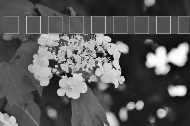 Keystroke フォント examples