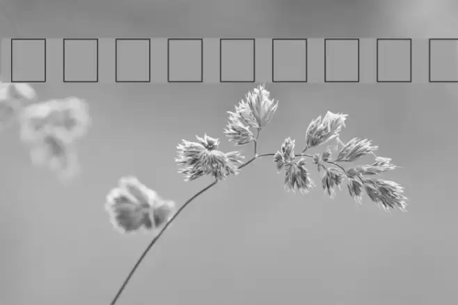 Keystroke フォント examples