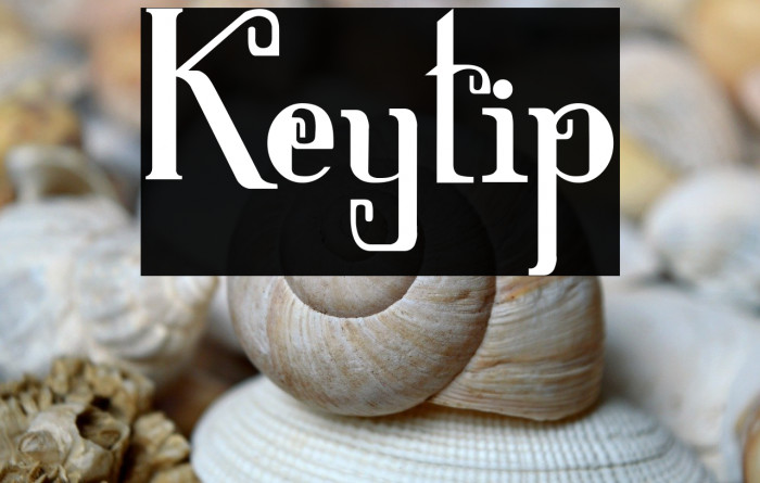 Keytip Example 1