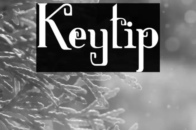 Keytip Font examples