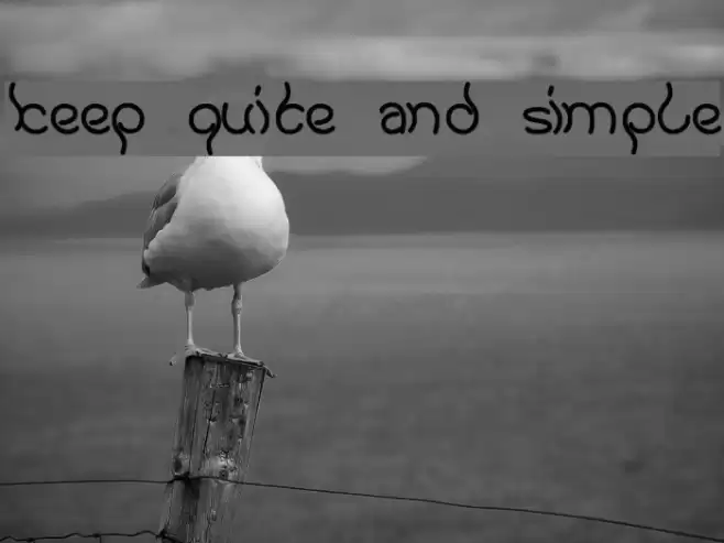 keep quite and simple Font examples