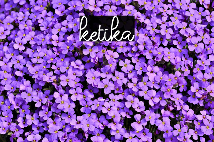 ketika Font examples