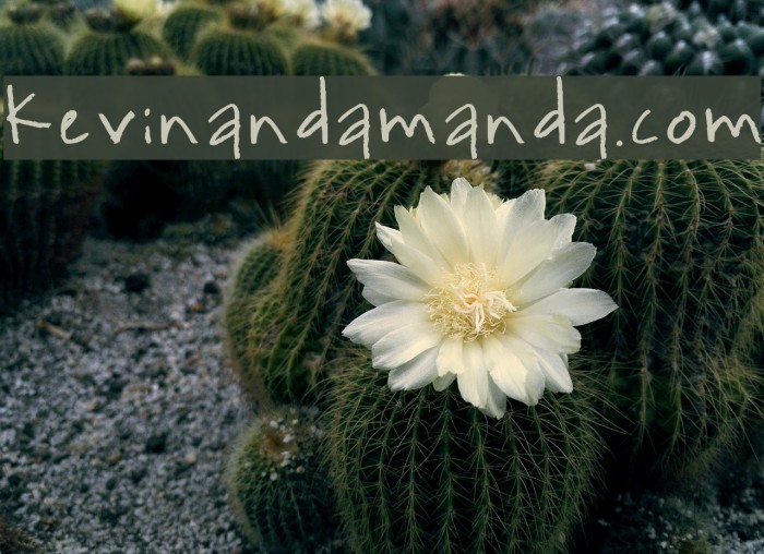 kevinandamanda.com Font examples