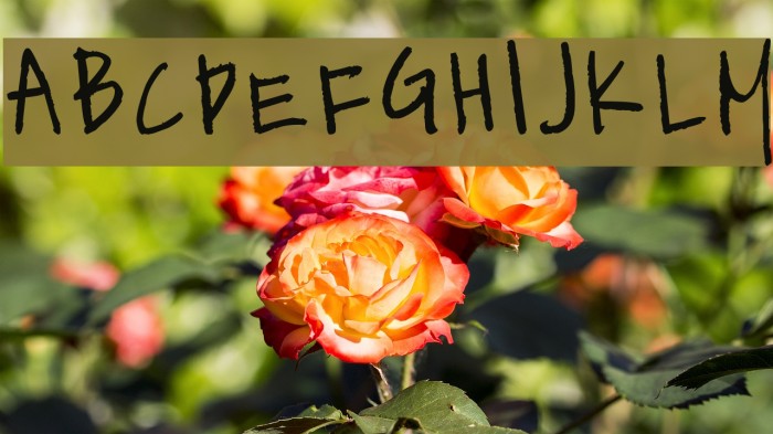 kevinandamandadotcom Font examples