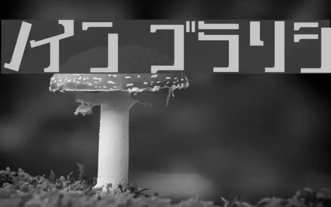 key Bold Font examples