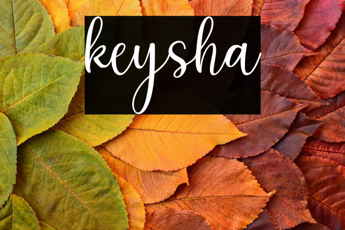 keysha Example 3