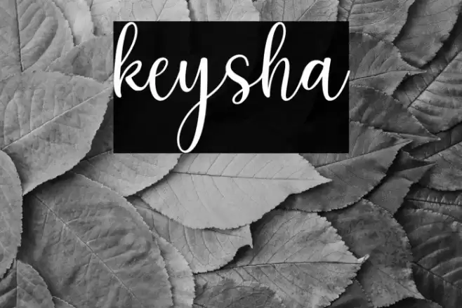 keysha Шрифта examples