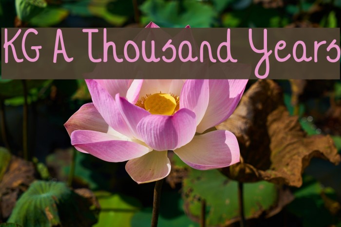 KG A Thousand Years Font examples