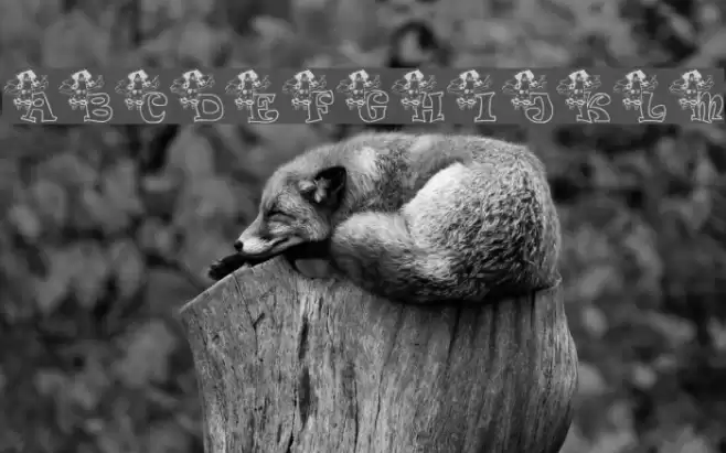 KG ANGEL1 Font examples