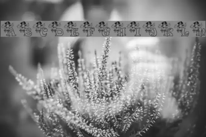 KG ANGEL1 Font examples