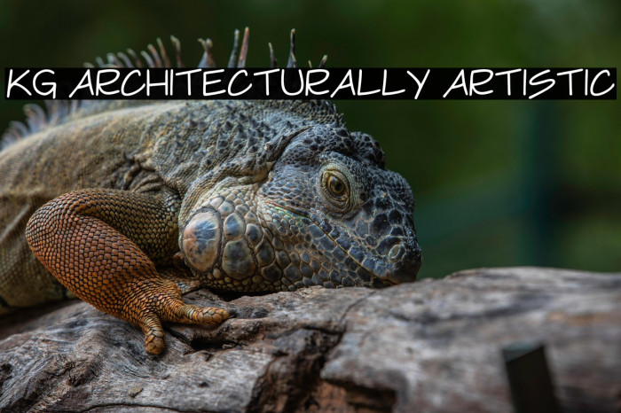 KG Architecturally Artistic Example 2