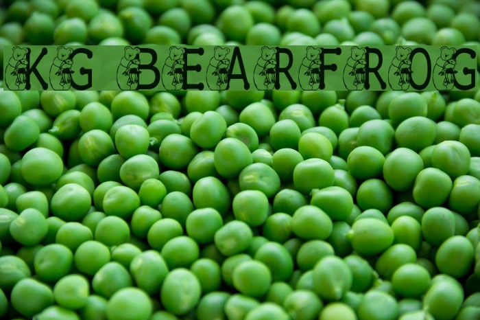 KG BEAR&FROG Font examples