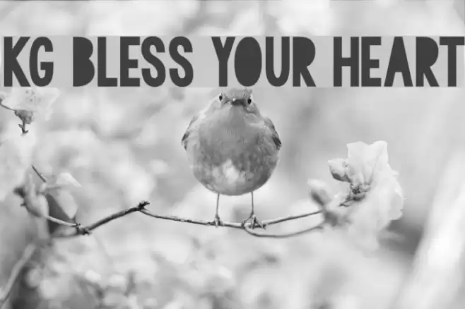 KG BLESS YOUR HEART Font examples