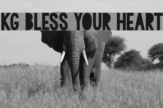 KG BLESS YOUR HEART Font examples