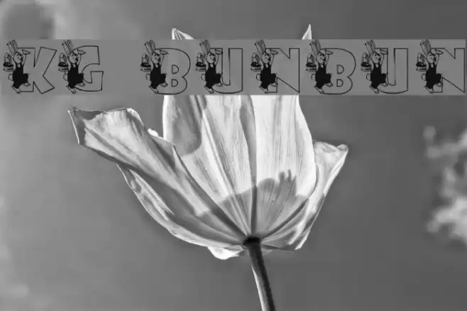 KG BUNBUN Font examples