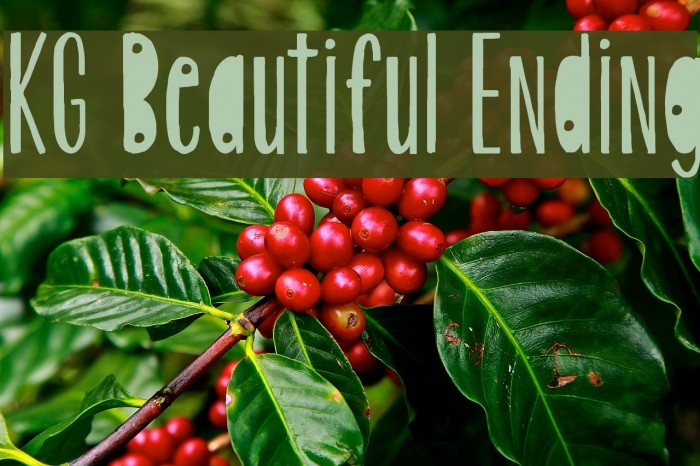 KG Beautiful Ending Example 2