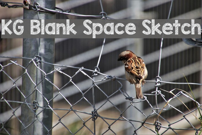 KG Blank Space Sketch Font examples