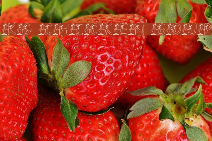 KG CHICKEN SOUP Example 2