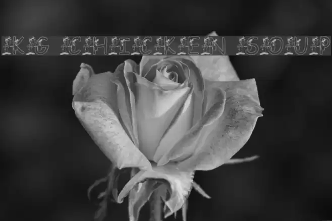 KG CHICKEN SOUP Font examples