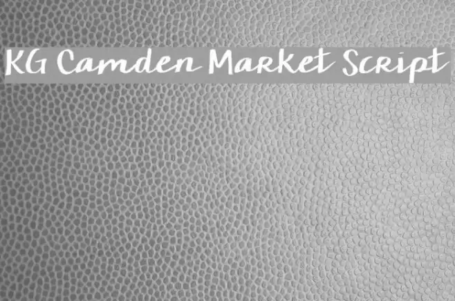 KG Camden Market Script Шрифта examples