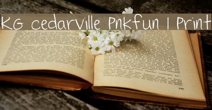 KG Cedarville Pnkfun 1 Print Font examples