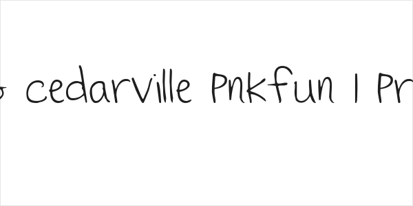 KG Cedarville Pnkfun 1 Print Logo