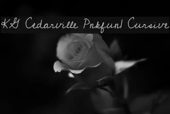 KG Cedarville Pnkfun1 Cursive Font examples