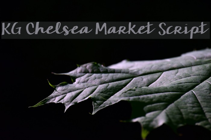 KG Chelsea Market Script Font examples