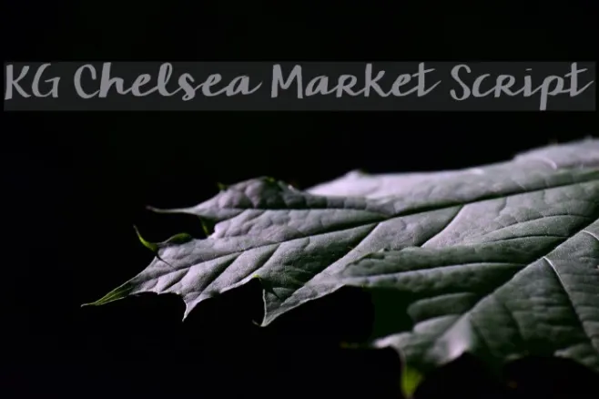 KG Chelsea Market Script Example 3