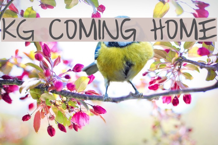 KG Coming Home لخطوط تنزيل examples