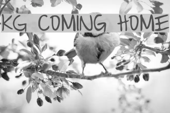 KG Coming Home Font examples