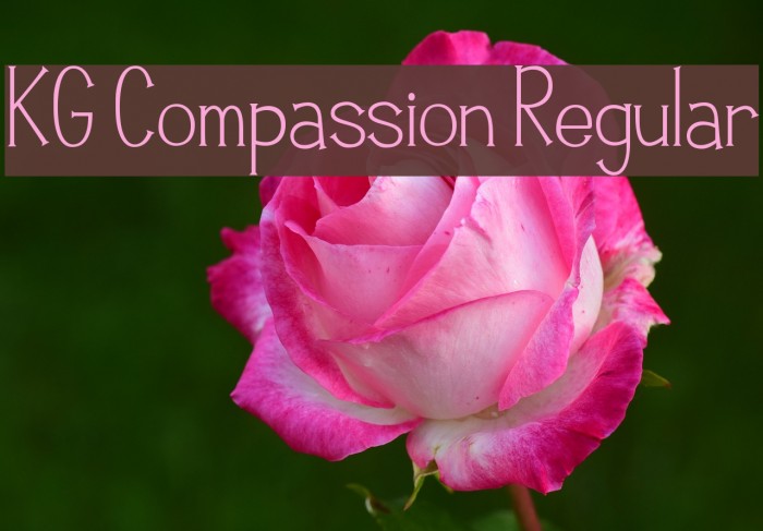 KG Compassion Regular Font examples