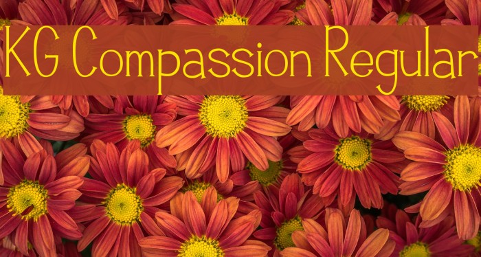 KG Compassion Regular Font examples