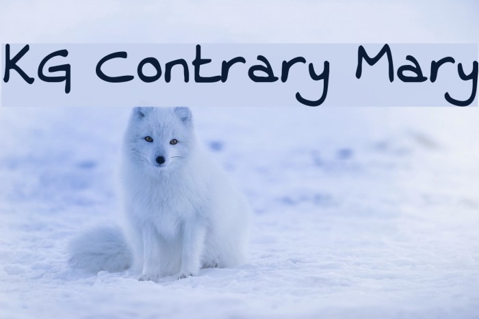 KG Contrary Mary Example 2