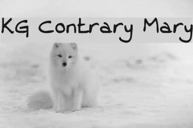 KG Contrary Mary Font examples