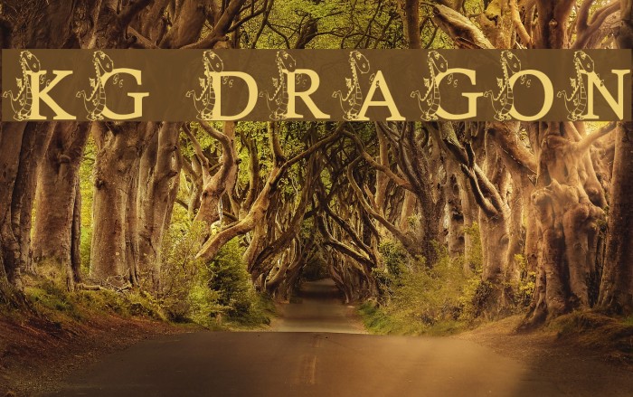 KG DRAGON Font examples