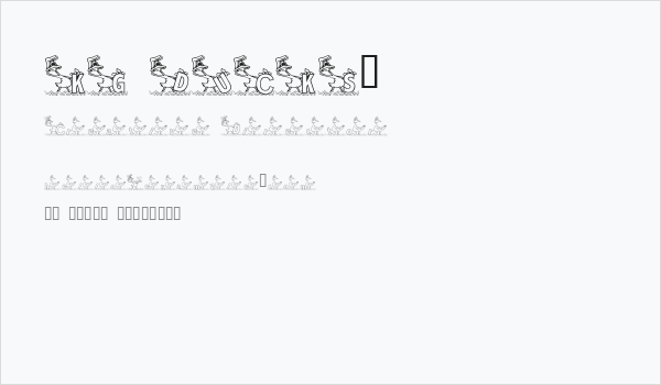 KG DUCKS2 Business Card