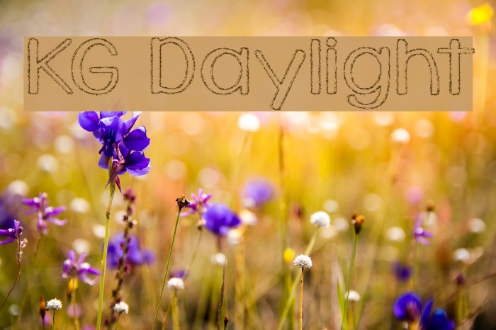 KG Daylight Font examples
