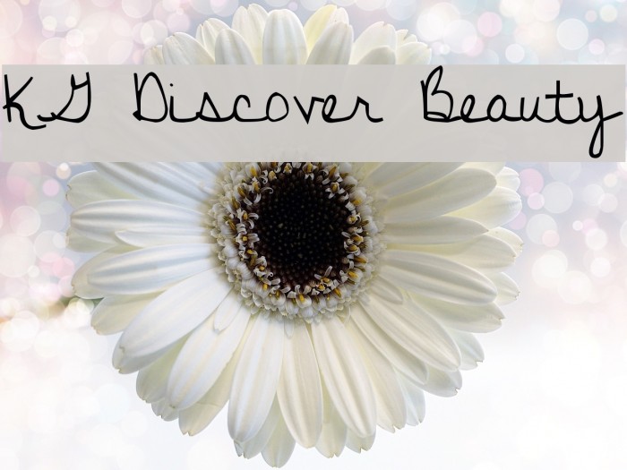 KG Discover Beauty Example 2