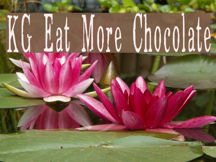 KG Eat More Chocolate Font examples