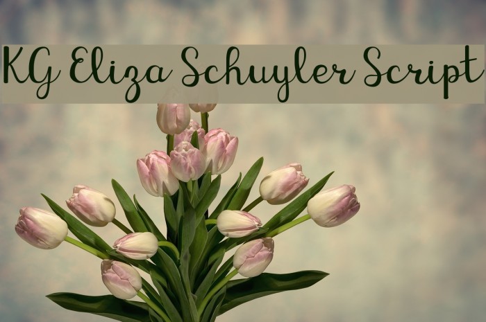 KG Eliza Schuyler Script Example 3