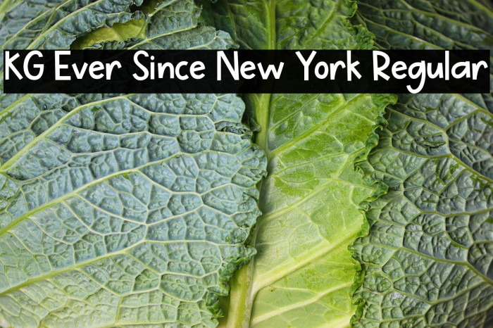 KG Ever Since New York Regular Example 3