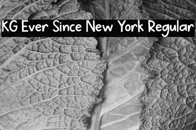 KG Ever Since New York Regular Font examples