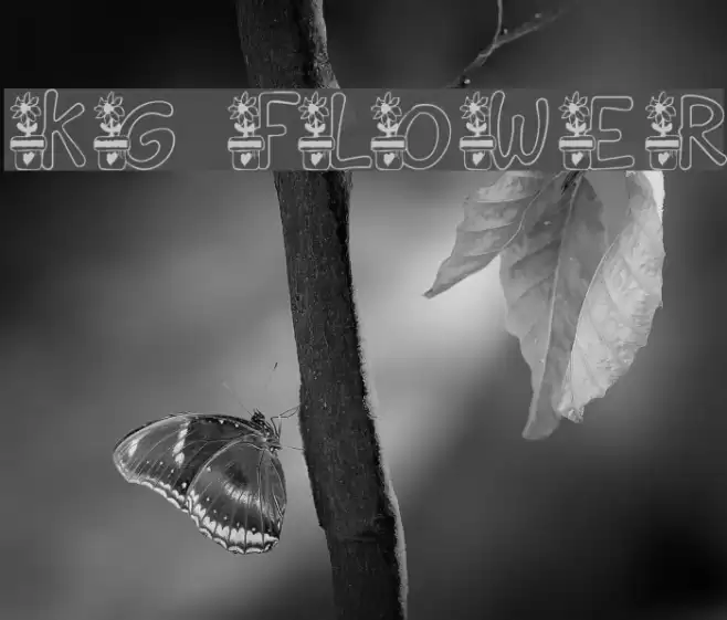 KG FLOWER Font examples