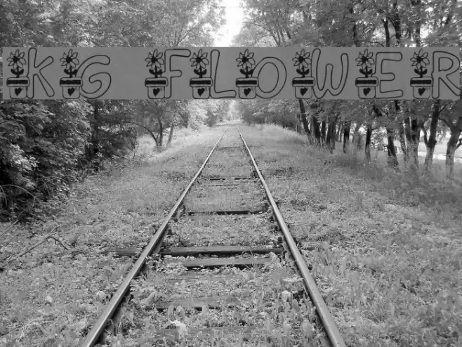 KG FLOWER Font examples