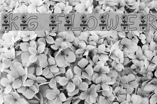 KG FLOWER Font examples