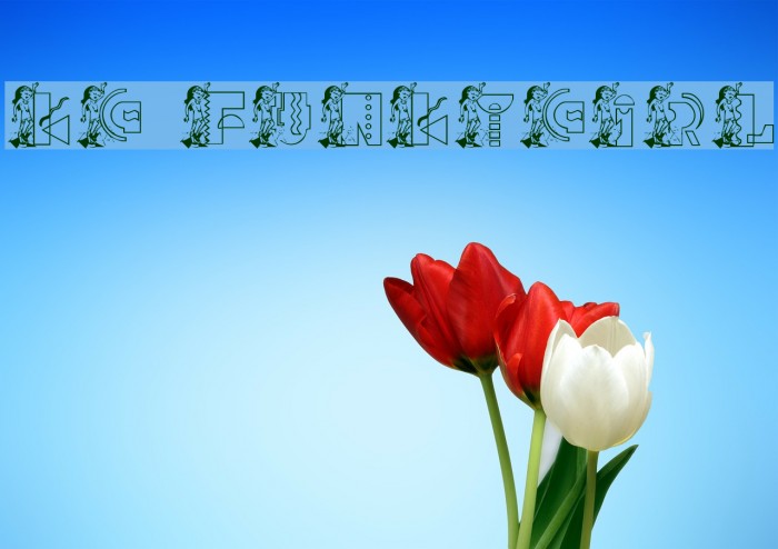 KG FUNKYGIRL Font examples