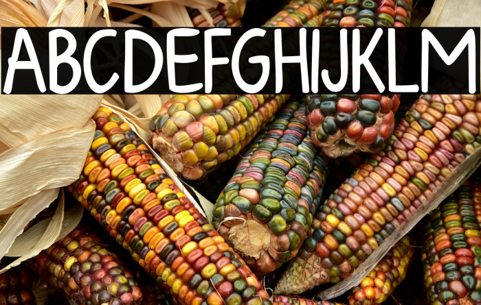 KG Fall For You Bold Example 1