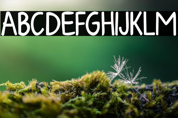 KG Fall For You Bold Example 3