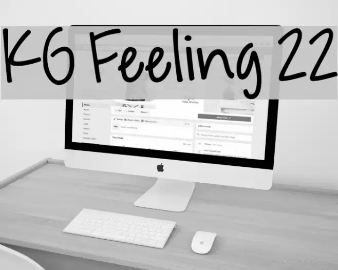 KG Feeling 22  examples